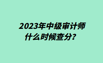 2023年中級審計師什么時候查分？