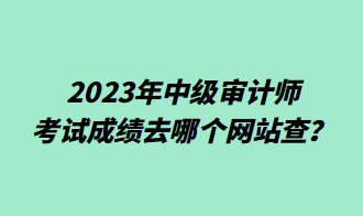 2023年中級(jí)審計(jì)師考試成績(jī)?nèi)ツ膫€(gè)網(wǎng)站查？