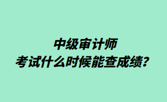 中級審計師考試什么時候能查成績？