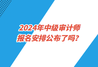 2024年中級審計師報名安排公布了嗎？