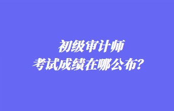 初級審計師考試成績在哪公布？