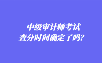 中級(jí)審計(jì)師考試查分時(shí)間確定了嗎？