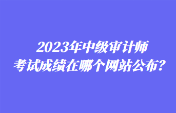 2023年中級(jí)審計(jì)師考試成績?cè)谀膫€(gè)網(wǎng)站公布？