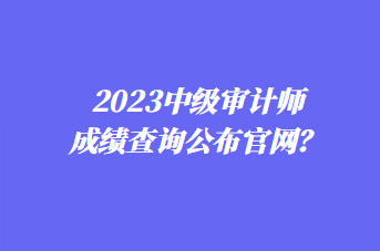 2023中級審計師成績查詢公布官網(wǎng)？