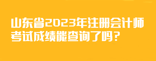 山東省2023年注冊會(huì)計(jì)師考試成績能查詢了嗎？