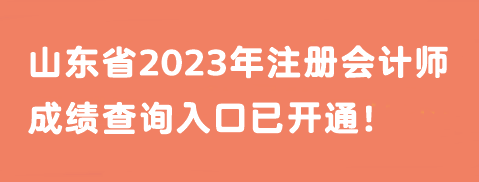 山東省2023年注冊(cè)會(huì)計(jì)師成績(jī)查詢?nèi)肟谝验_通！馬上查分>>