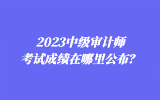 2023中級審計師考試成績在哪里公布？