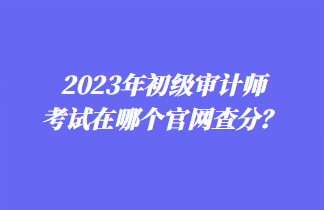 2023年初級審計師考試在哪個官網(wǎng)查分？