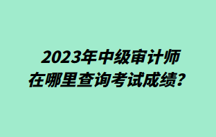 2023年中級審計師在哪里查詢考試成績？