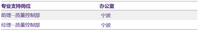 專(zhuān)業(yè)支持業(yè)務(wù)線