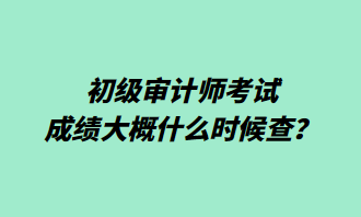 初級審計師考試成績大概什么時候查？