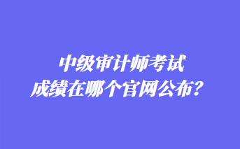 中級(jí)審計(jì)師考試成績?cè)谀膫€(gè)官網(wǎng)公布？