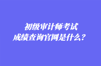 初級審計師考試成績查詢官網(wǎng)是什么？