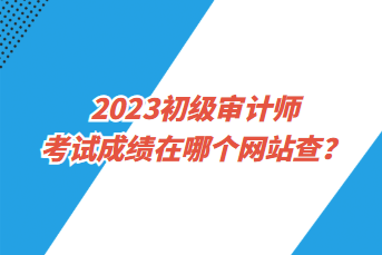 2023初級審計(jì)師考試成績在哪個(gè)網(wǎng)站查？