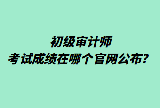 初級(jí)審計(jì)師考試成績(jī)?cè)谀膫€(gè)官網(wǎng)公布？