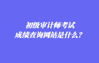 初級審計(jì)師考試成績查詢網(wǎng)站是什么？