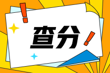 河南省2024年注會查分入口開啦！快來查分！