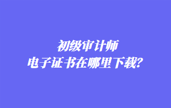 初級審計師電子證書在哪里下載？