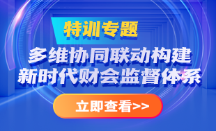 多維協(xié)同構(gòu)建新時代財(cái)會監(jiān)督體系