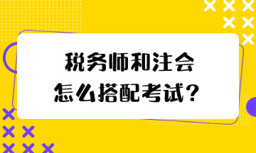 稅務(wù)師和注會怎么搭配考試？