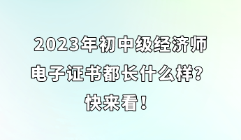 2023年初中級(jí)經(jīng)濟(jì)師電子證書(shū)都長(zhǎng)什么樣？快來(lái)看！