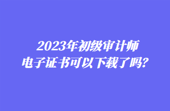 2023年初級審計師電子證書可以下載了嗎？