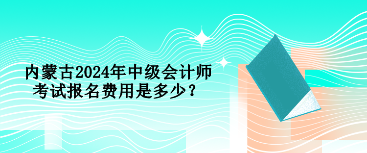 內(nèi)蒙古2024年中級(jí)會(huì)計(jì)師考試報(bào)名費(fèi)用是多少？