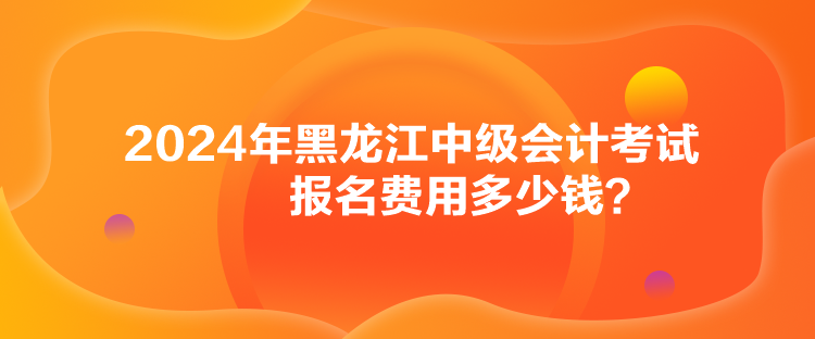 2024年黑龍江中級(jí)會(huì)計(jì)考試報(bào)名費(fèi)用多少錢(qián)？