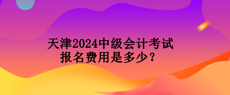 天津2024中級(jí)會(huì)計(jì)考試報(bào)名費(fèi)用是多少？