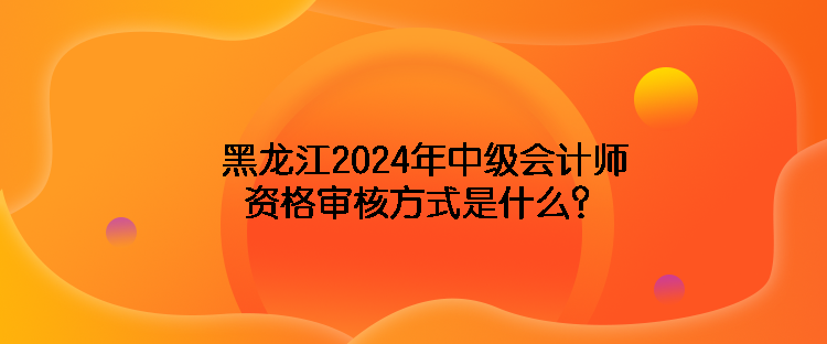 海南2024年中級(jí)會(huì)計(jì)師資格審核方式是什么？