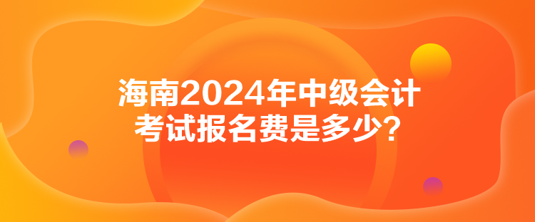 海南2024年中級(jí)會(huì)計(jì)考試報(bào)名費(fèi)是多少？