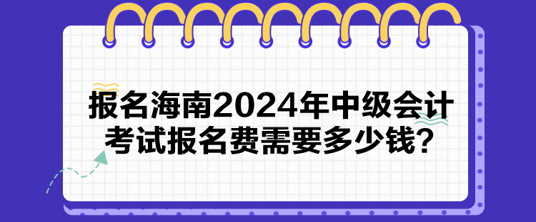 報(bào)名海南2024年中級(jí)會(huì)計(jì)考試報(bào)名費(fèi)需要多少錢？