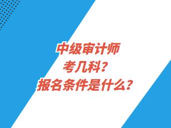 中級(jí)審計(jì)師考幾科？報(bào)名條件是什么？