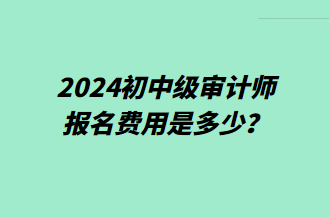 2024初中級審計師報名費用是多少？