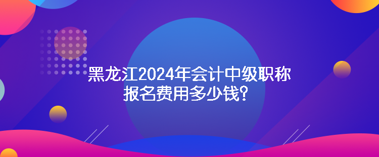 黑龍江2024年會(huì)計(jì)中級(jí)職稱報(bào)名費(fèi)用多少錢？