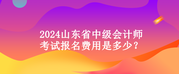 2024山東省中級會計師考試報名費用是多少？