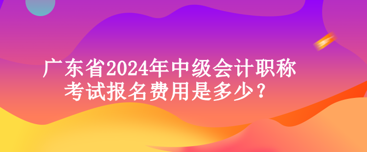 廣東省2024年中級(jí)會(huì)計(jì)職稱(chēng)考試報(bào)名費(fèi)用是多少？