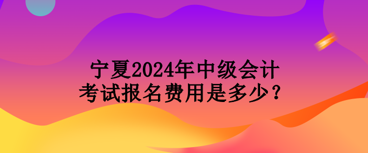 寧夏2024年中級會(huì)計(jì)考試報(bào)名費(fèi)用是多少？