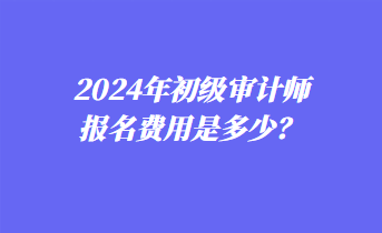 2024年初級(jí)審計(jì)師報(bào)名費(fèi)用是多少？