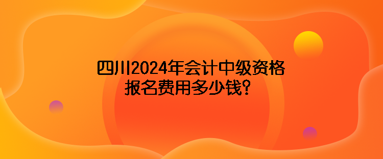 四川2024年會計(jì)中級資格報(bào)名費(fèi)用多少錢？