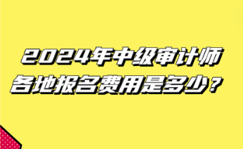 2024年中級(jí)審計(jì)師各地報(bào)名費(fèi)用是多少？