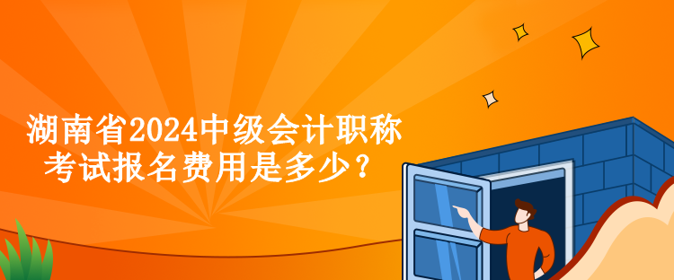 湖南省2024中級會(huì)計(jì)職稱考試報(bào)名費(fèi)用是多少？