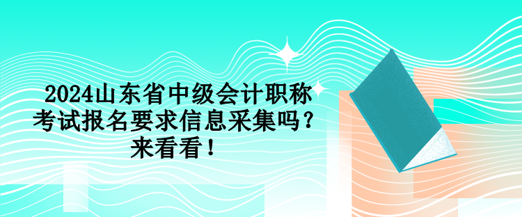 2024山東省中級會計職稱考試報名要求信息采集嗎？來看看！