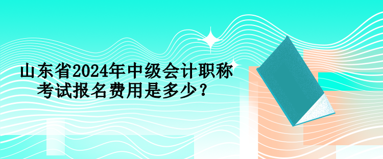 山東省2024年中級會計職稱考試報名費用是多少？