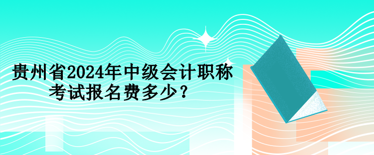 貴州省2024年中級(jí)會(huì)計(jì)職稱(chēng)考試報(bào)名費(fèi)多少？