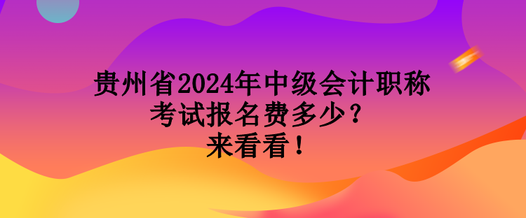 貴州省2024年中級會計職稱考試報名費多少？來看看！