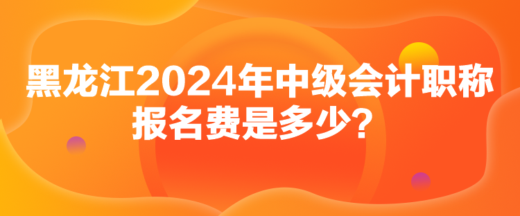 黑龍江2024年中級(jí)會(huì)計(jì)職稱報(bào)名費(fèi)是多少？