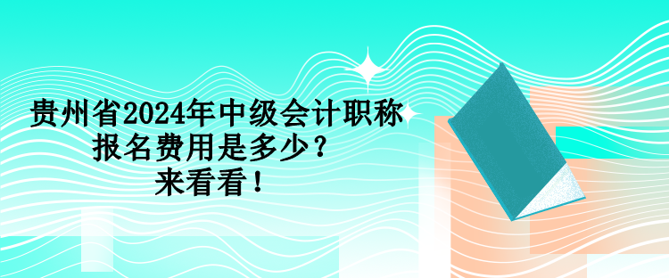 貴州省2024年中級(jí)會(huì)計(jì)職稱(chēng)報(bào)名費(fèi)用是多少？來(lái)看看！