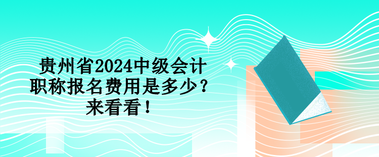 貴州省2024中級(jí)會(huì)計(jì)職稱報(bào)名費(fèi)用是多少？來看看！