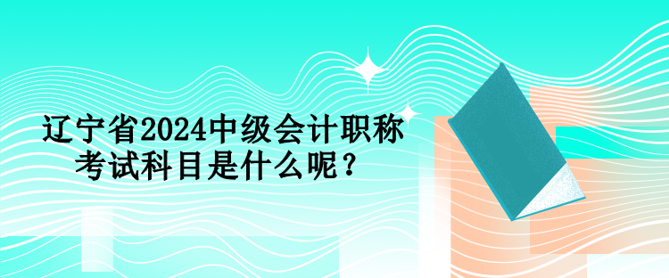 遼寧省2024中級會計職稱考試科目是什么呢？